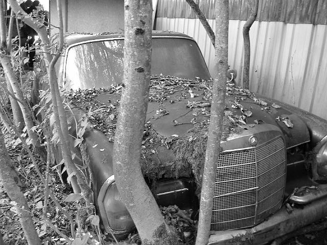 Autofriedhof - 004.JPG - Historischer Autofriedhof,    Gürbetal (CH)